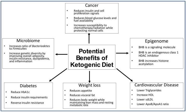 Carnivore Diet vs Keto: Keto Benefits