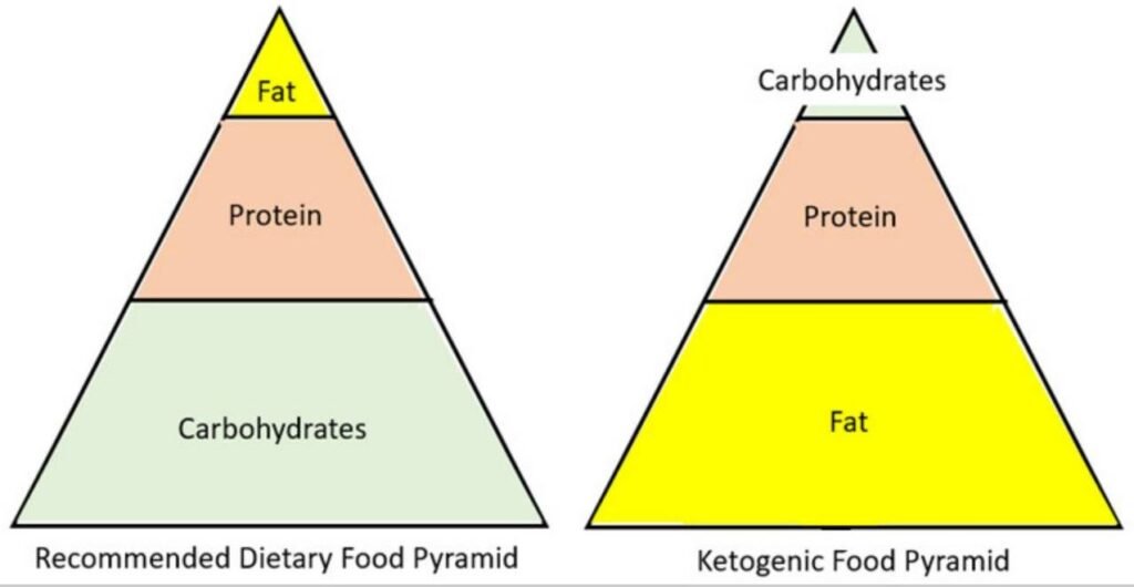 Carnivore Diet vs Keto: Food Pyramid